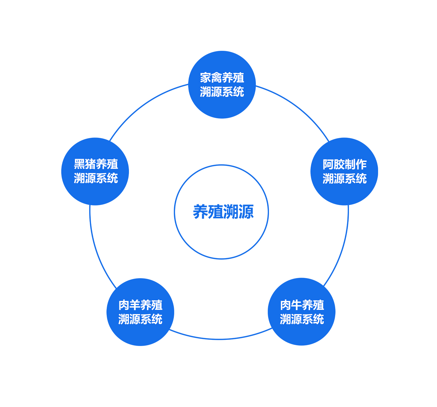 瑞佰创物联科技