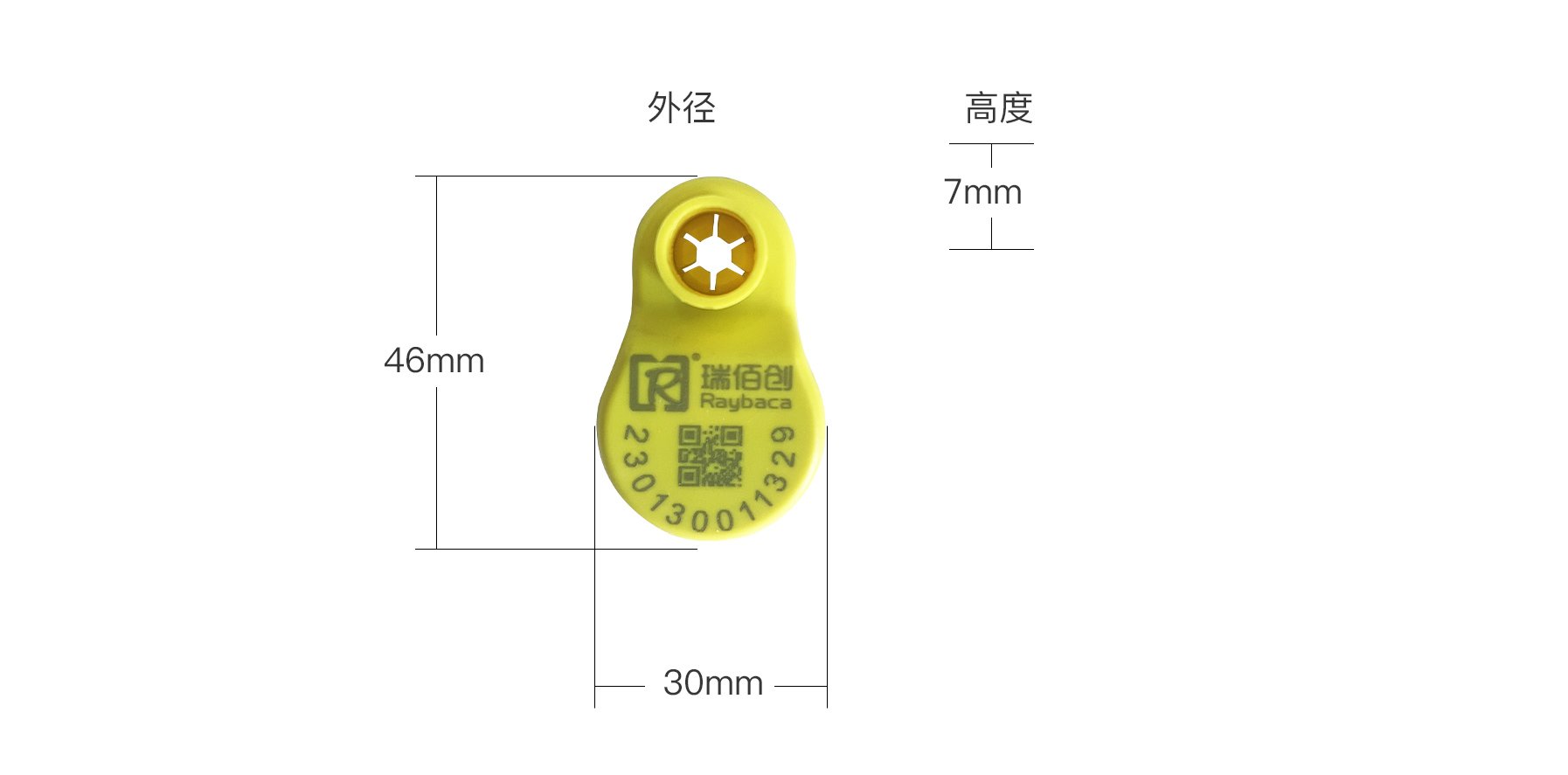 瑞佰创物联科技