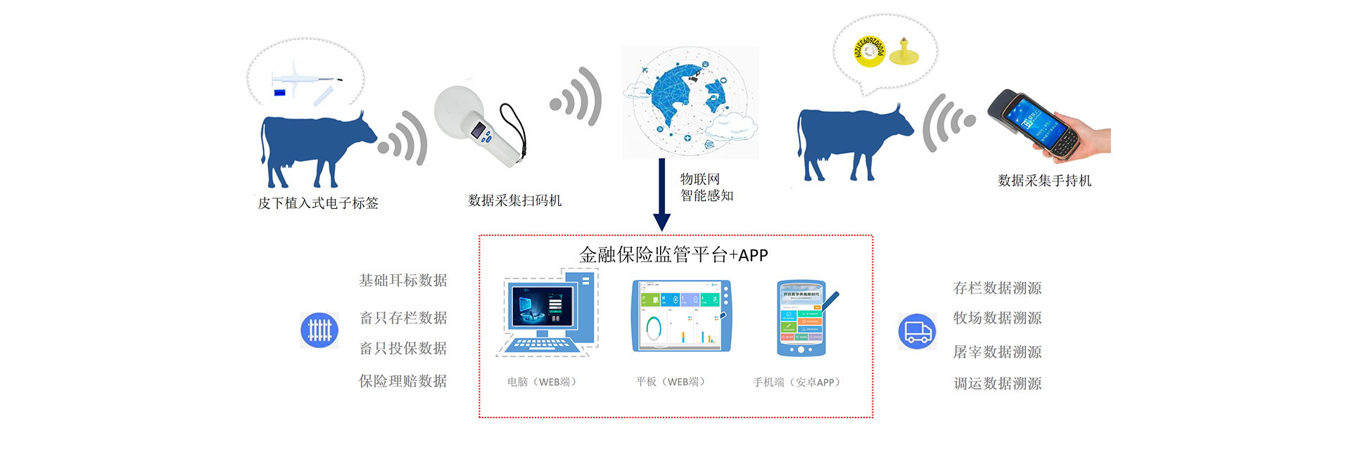 瑞佰创物联科技