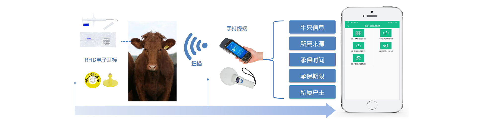 瑞佰创物联科技 瑞佰创物联科技