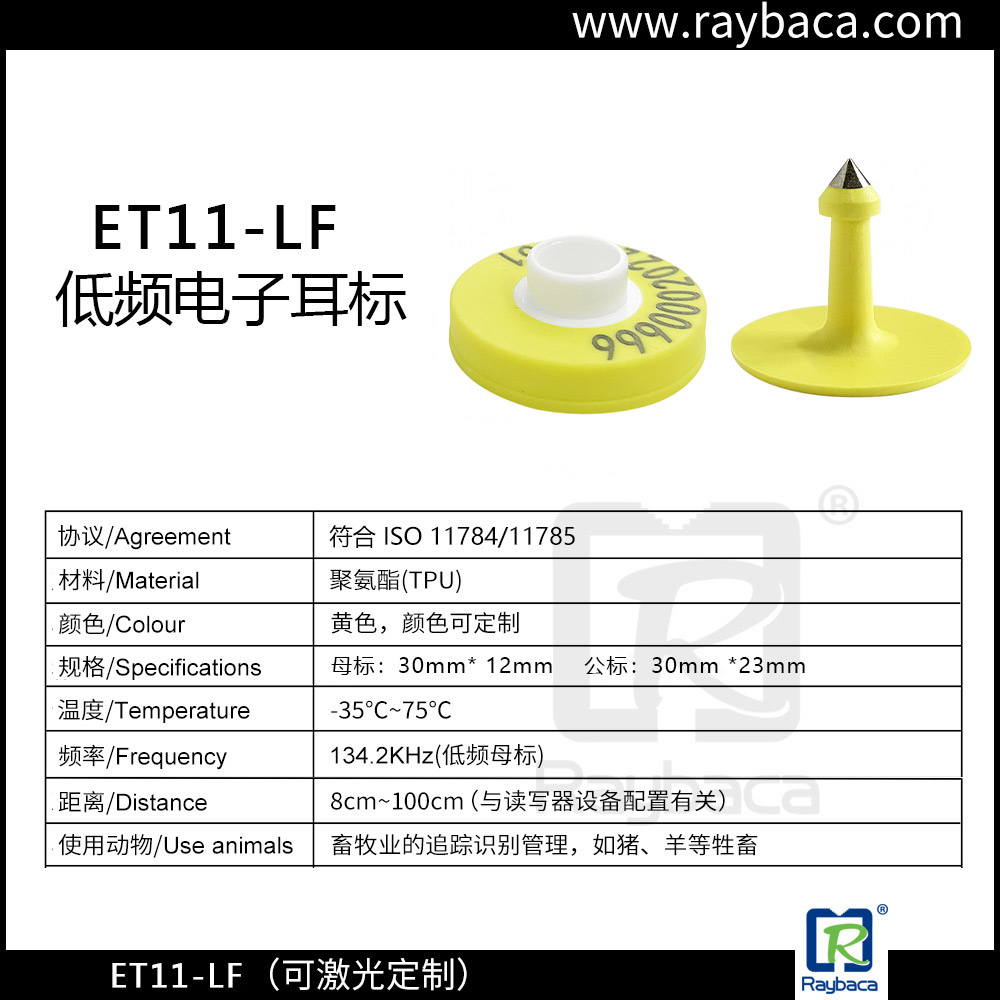 瑞佰创物联科技