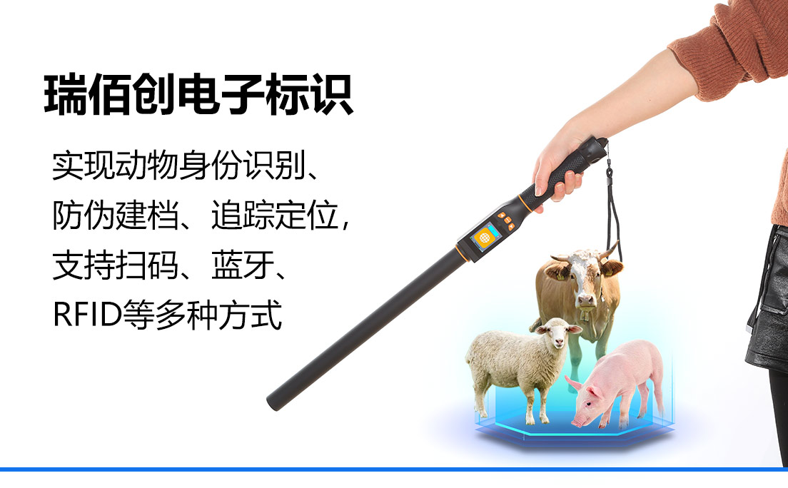 瑞佰创物联科技