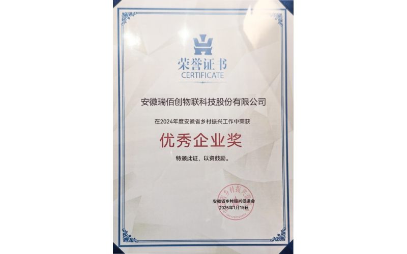 热烈祝贺安徽瑞佰创物联科技股份有限公司荣获企业优秀奖