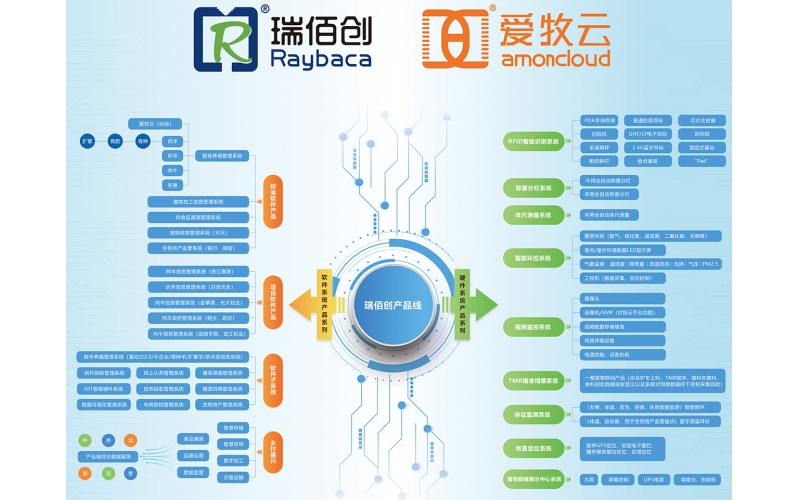 2025政府工作报告解读：科技创新引领未来，瑞佰创物联助力智慧新时代！